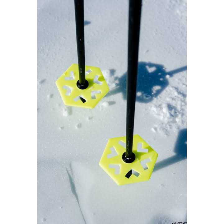 Black Crows Duos Freebird Ski Poles - Sports Supplies Online Store