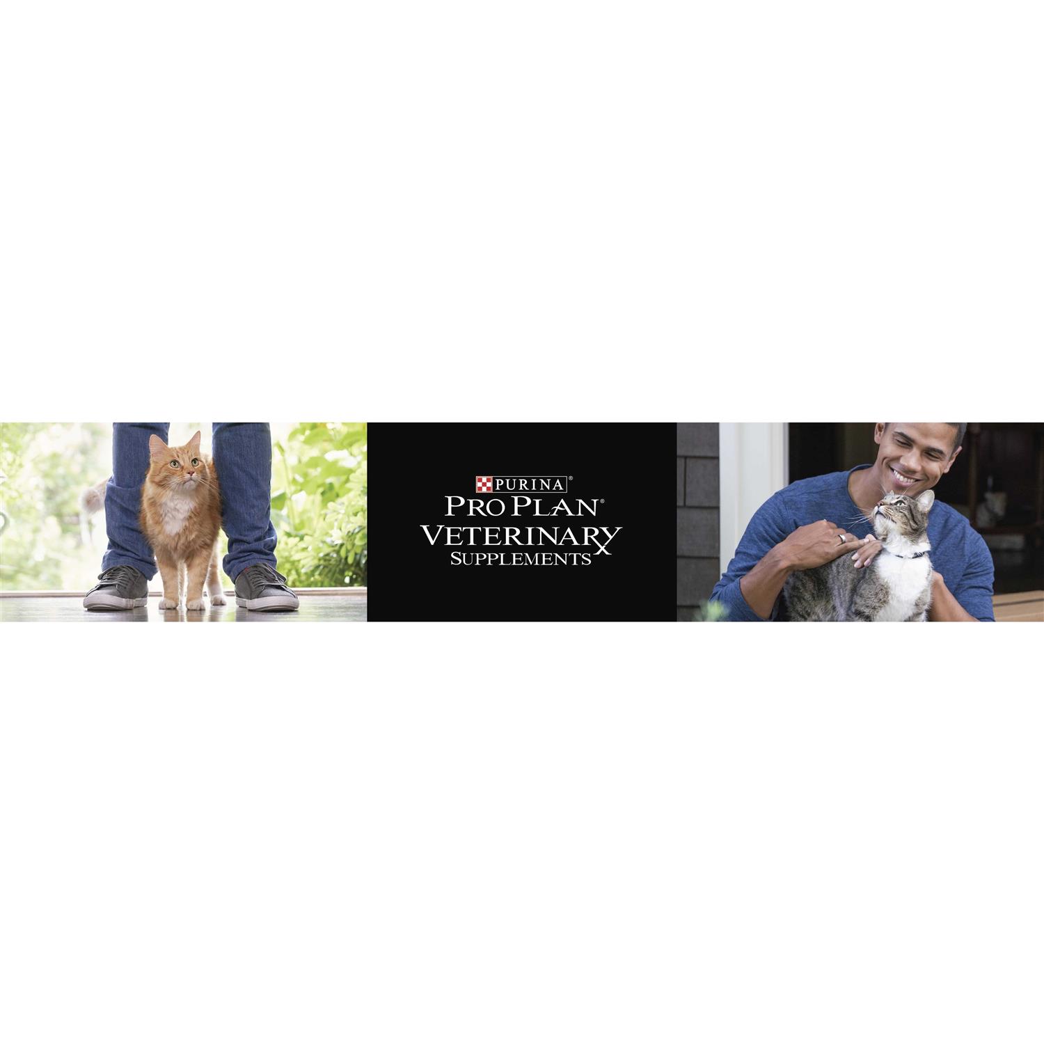 Purina Pro Plan Veterinary Diets Purina Veterinary Diets FortiFlora Cat Supplement - Pet Supplies online store