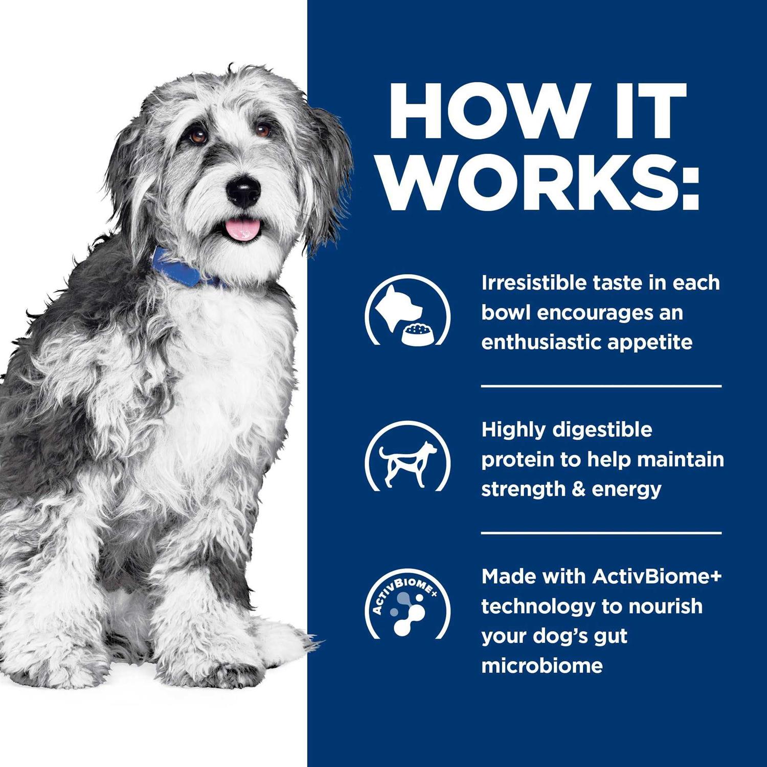 Hill's Prescription Diet ONC Care Wet Dog Food - Pet Supplies online store