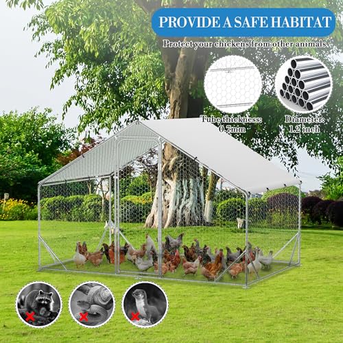 Large Metal Chicken Coop, Walk-in Poultry Cage