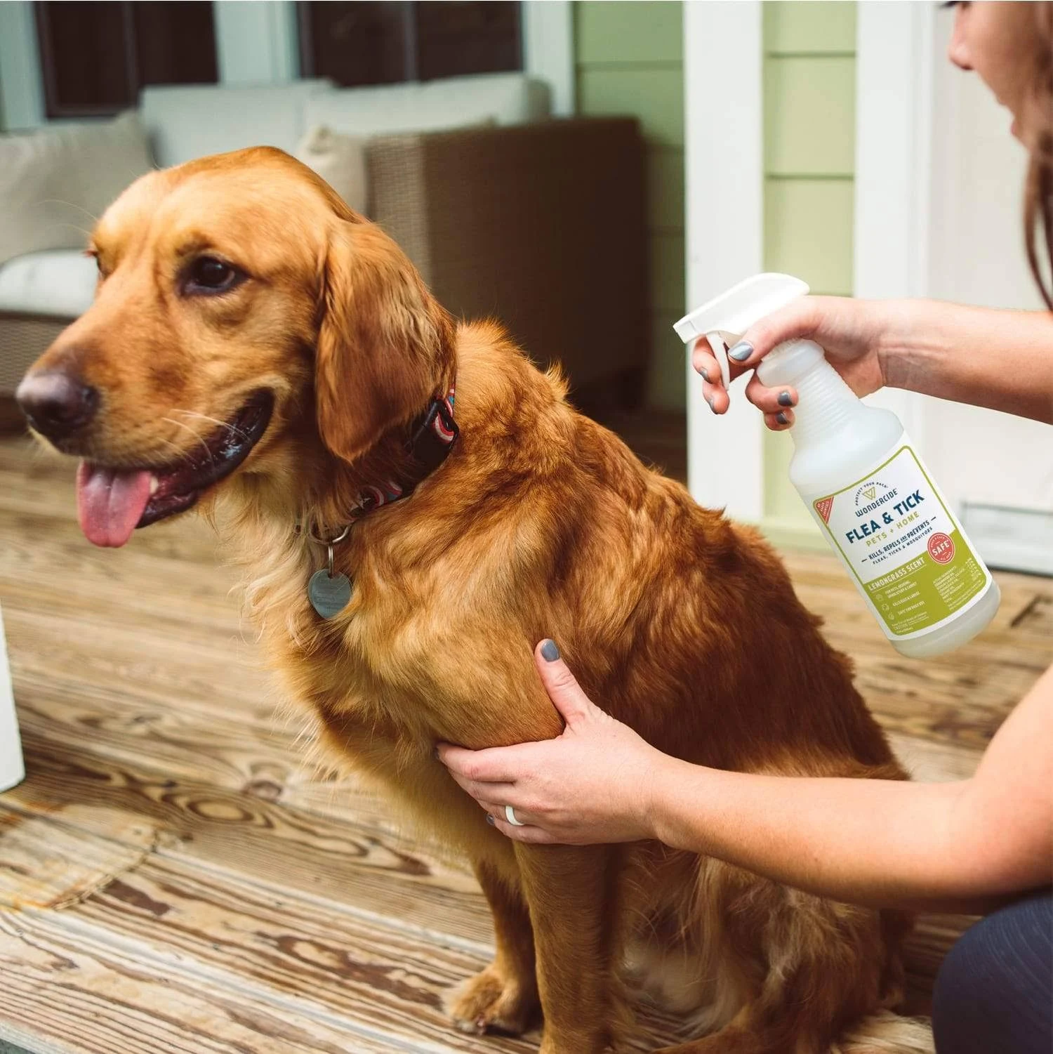 Wondercide Natural Peppermint Flea u0026 Tick Spray for Dog u0026 Cats