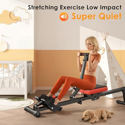 SogesGame Rowing Machine, Rower Machine with 12 Levels of Resistance for Complete Body Workouts, Low-Impact