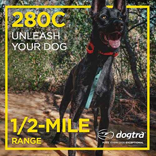 Dogtra 280C Dog Remote Training Collar