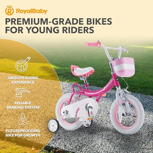 Royalbaby Princess Girls Kids Bike 12 14 16 18 20 Inch Children Bicycle with Basket for Age 3-12 Years