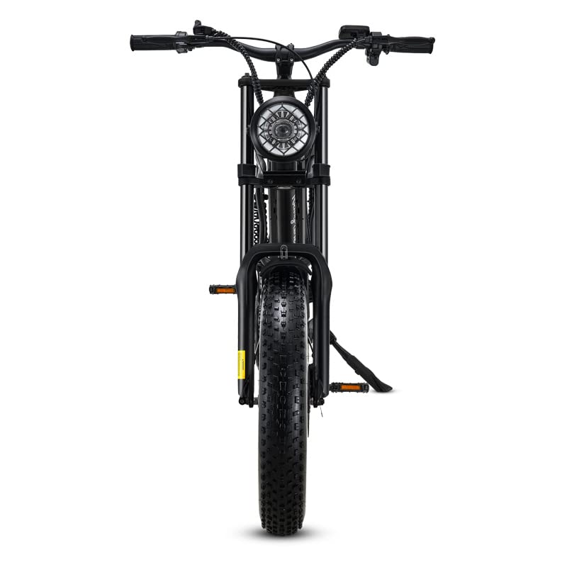 Riding'times 1500W Electric Bike for Adults Full Suspension, Long Seat Dirt Bike with 20" Fat Tire, Max 28/31MPH & 37-150 Miles