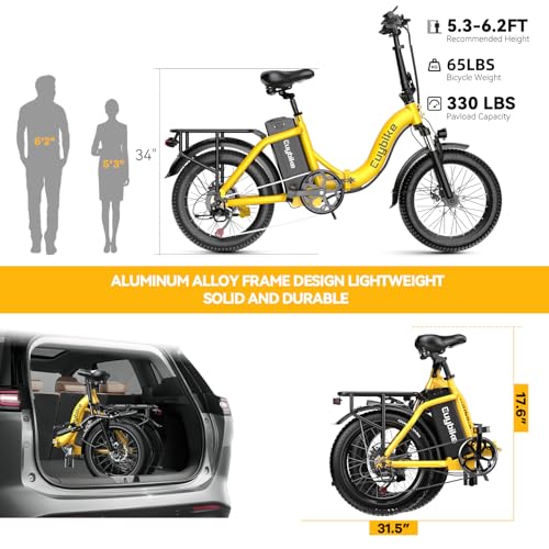 1000W Folding Electric Bike,48V 20AH Removable Battery E Bike,30+MPH,80 Miles Max Range Electric Bike for Adults,20" Fat Tire Foldable ebike
