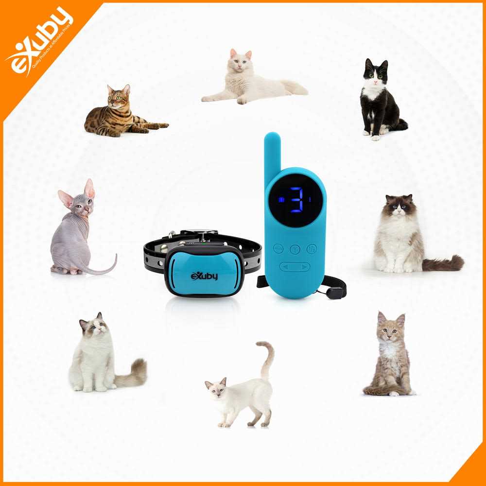 Exuby Small Cat Shock Collar w/ Remote Designed for Training Cats - Pet Supplies online store