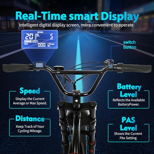 Electric Bike for Adults 48V/20AH Battery 1500W Motor, 20" Fat Tire Ebike for Mountains, Snow, Sand