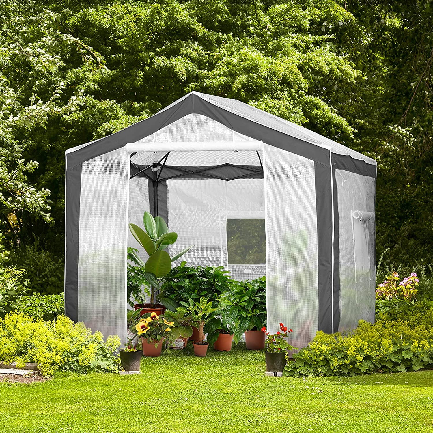 EAGLE PEAK 8 ' x 8 ' Portable Walk-in Greenhouse with Roll-up Zipper Entry Door and 3 Large Roll-Up Screen Windows