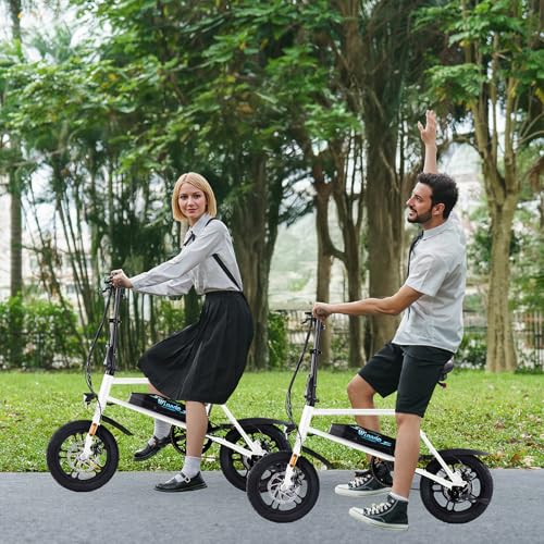 Winado Electric Bike for Adults, 14" Folding Electric Bicycle 450W Motor with Dual Disc Brakes, Max Range 25Miles(Pedal-Assist) & Speed 15.5MPH
