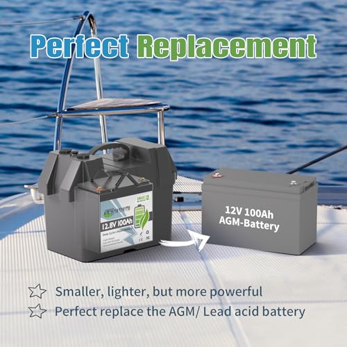 12V 100Ah LiFePO4 Battery, Rechargeabel Deep Cycle Lithium Batteries, 100A BMS with Low-Temp Protection, Perfect for RV, Solar, Boat, Marine