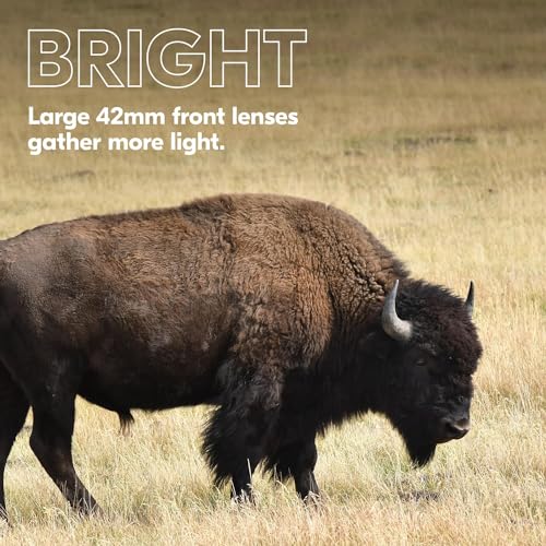 Nikon PROSTAFF P3 8x42 Binocular | Waterproof, fogproof, rubber-armored Full-Size Binocular