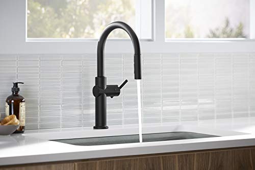 Kohler Crue Kitchen Sink Faucet