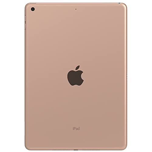 Apple iPad (10.2-Inch, Wi-Fi, 32GB) - Space Gray (Renewed)