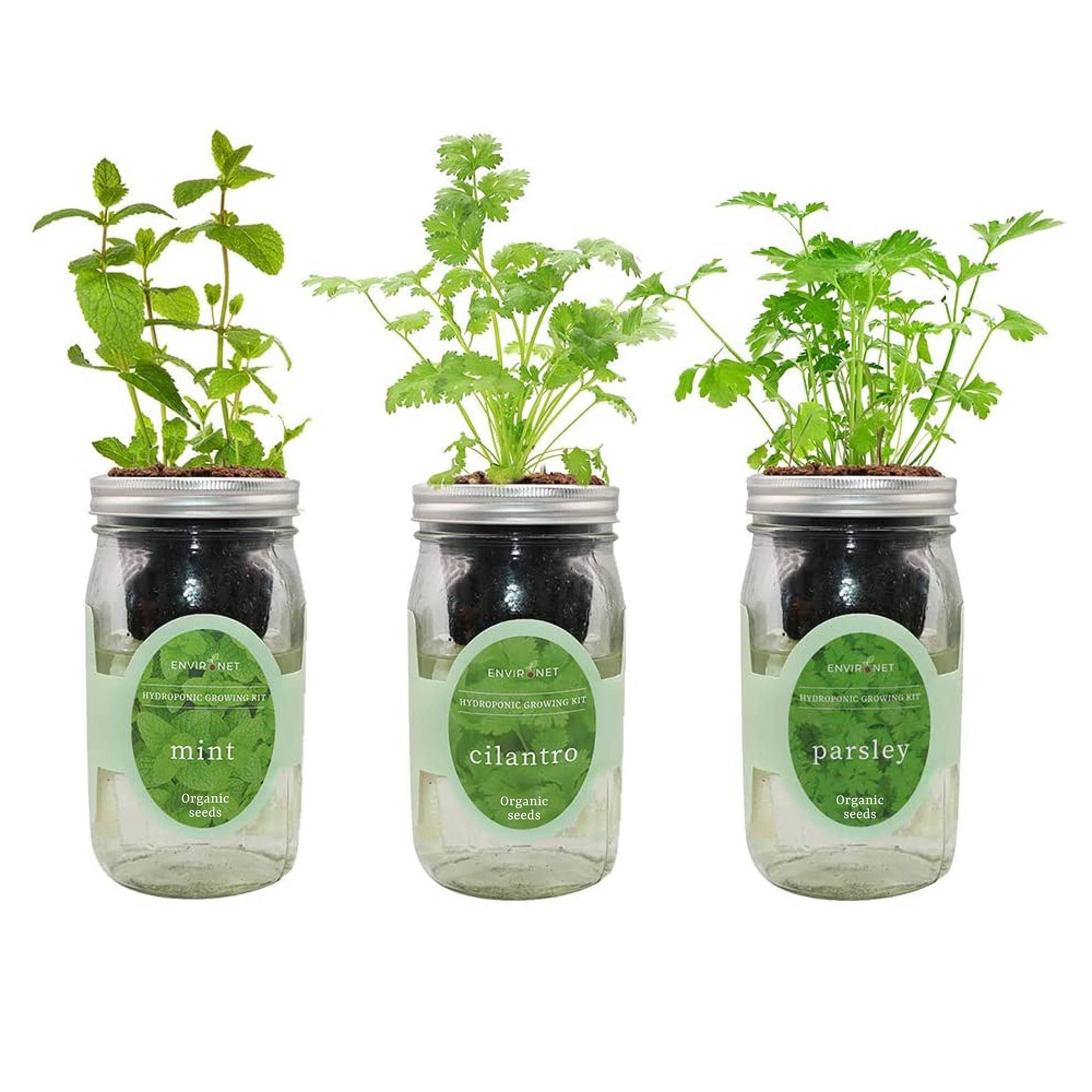 Environet Hydroponic Herb Growing Kit Set, Self-Watering Mason Jar Herb Garden Starter Kit Indoor, Windowsill Herb Garden, Grow