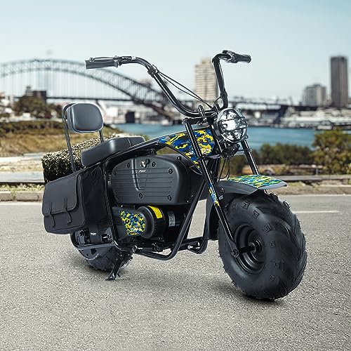 Oryxearth Electric Mini Dirt Bike, 36V Battery 1000W Motor Electrical Powered Motorcycle for Kids, 2 Speeds-15.5MPH/22 MPH, 2 Hanging Bags