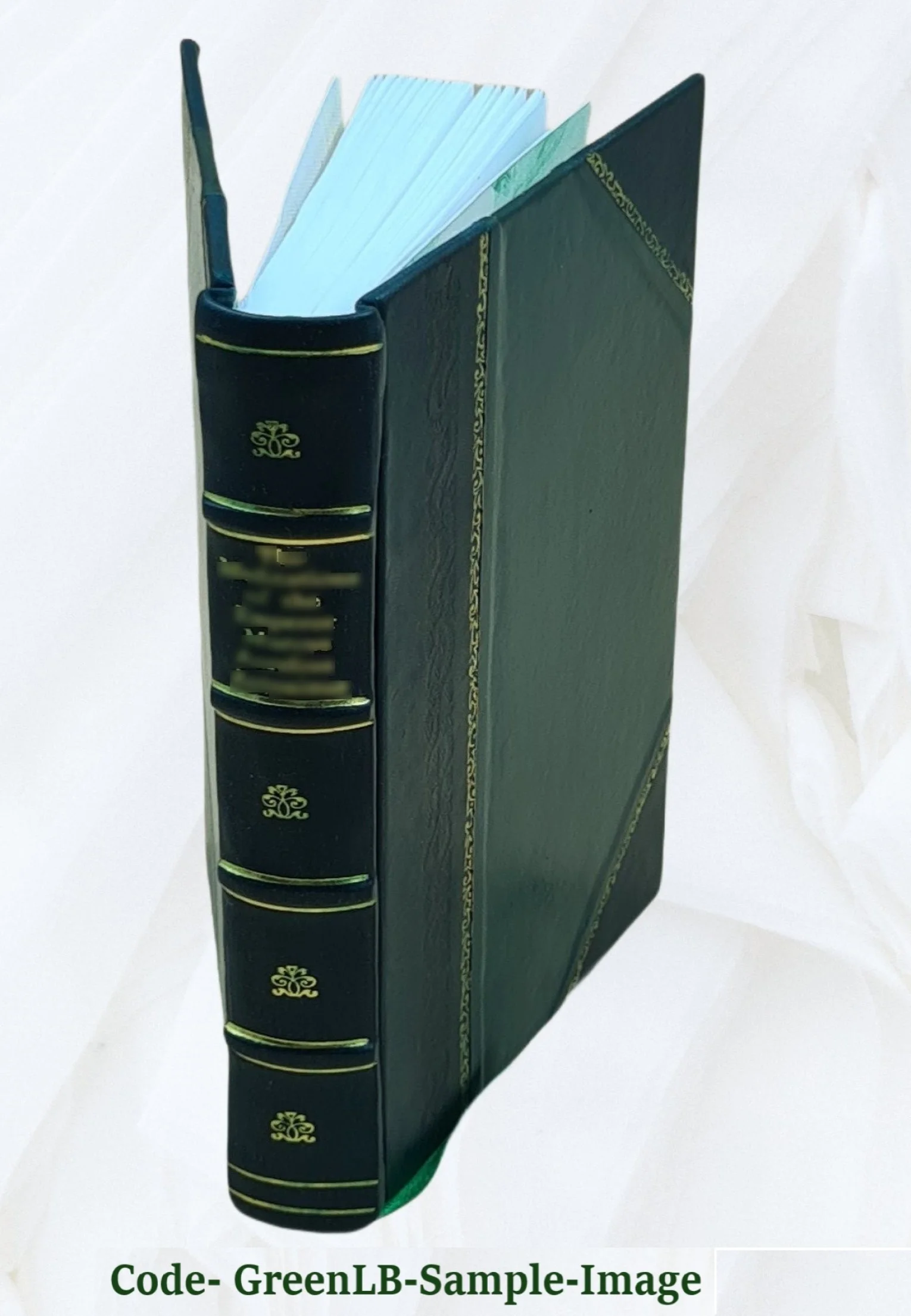 A Yacht Voyage Round England 1870 [Leather Bound]