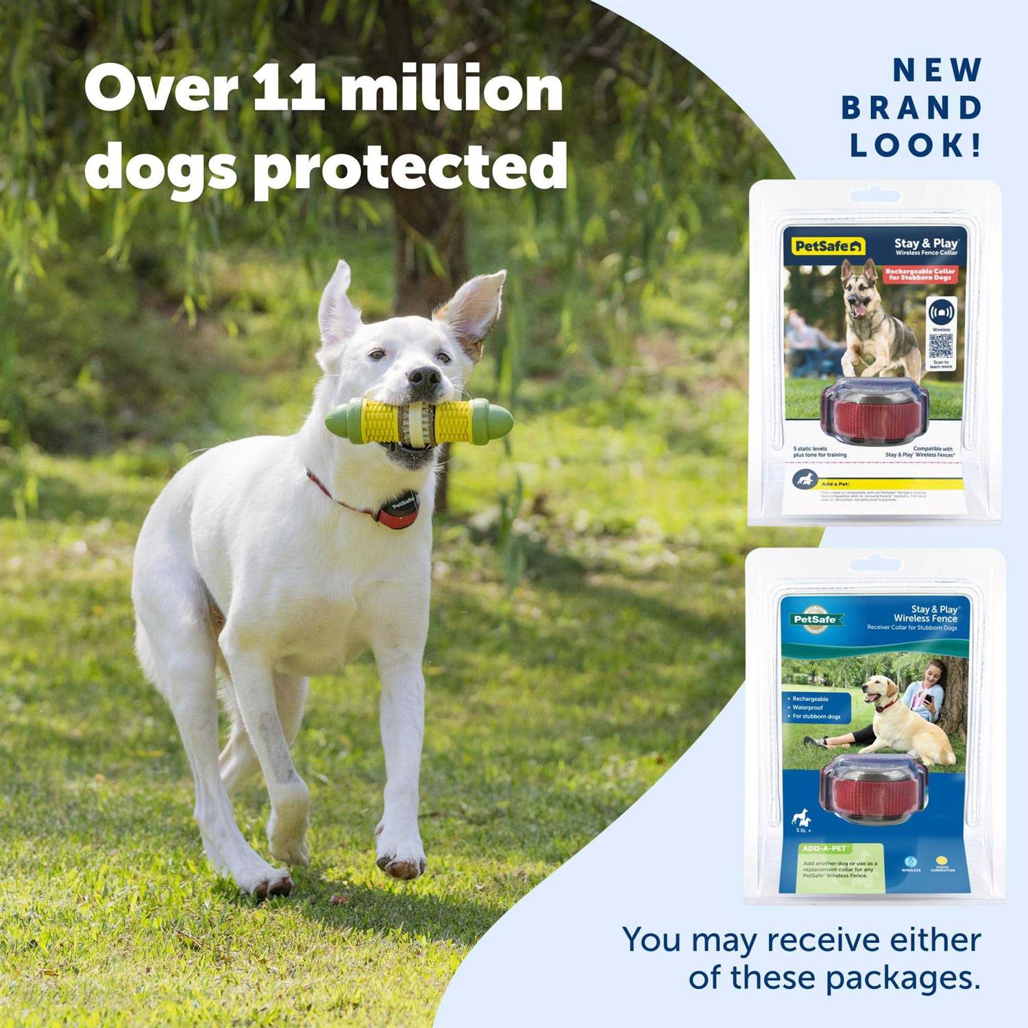 PetSafe Stubborn Dog Stay &amp; Play Wireless Fence Receiver Collar - Pet Supplies online store