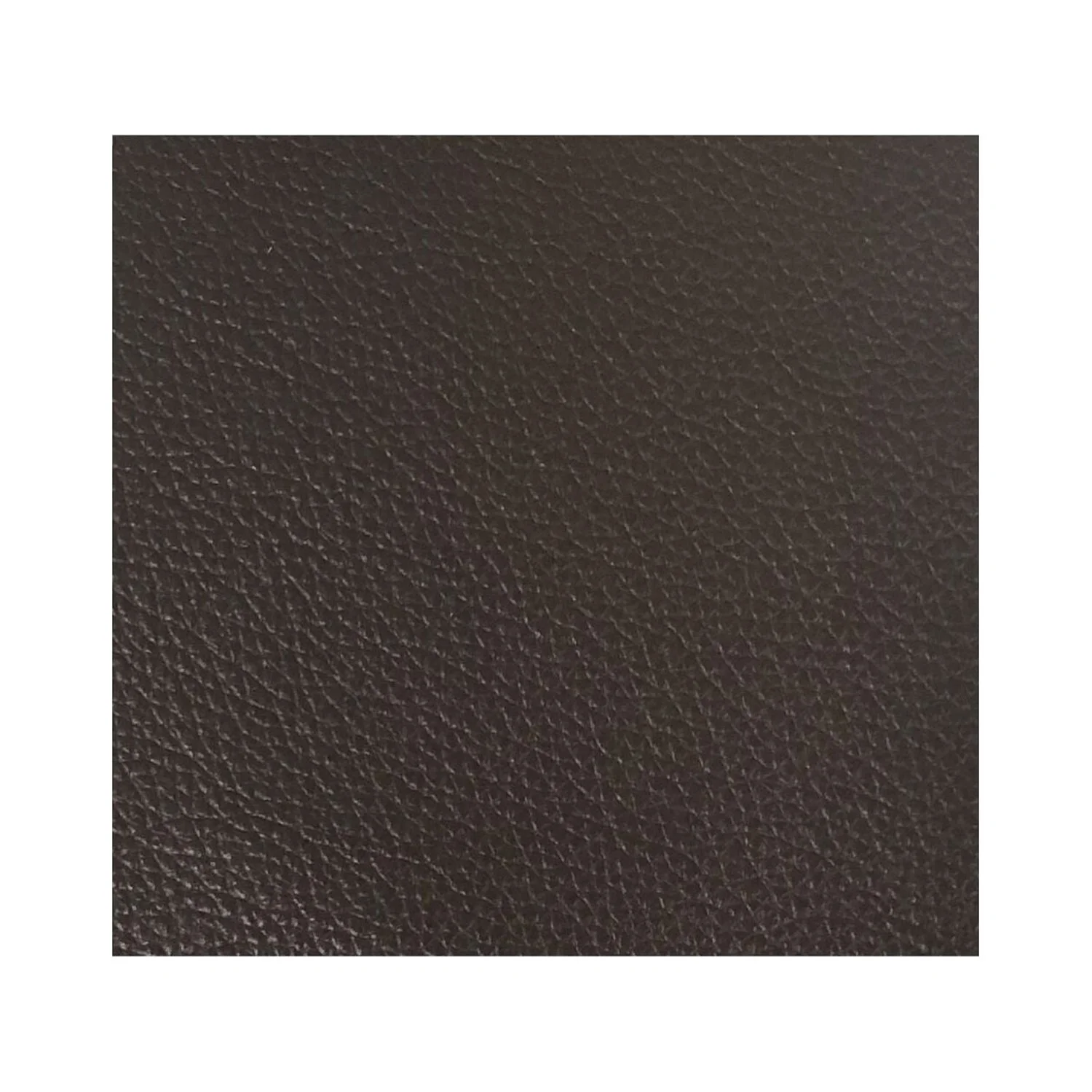 ACME Matias Leather Sofa in Chocolate