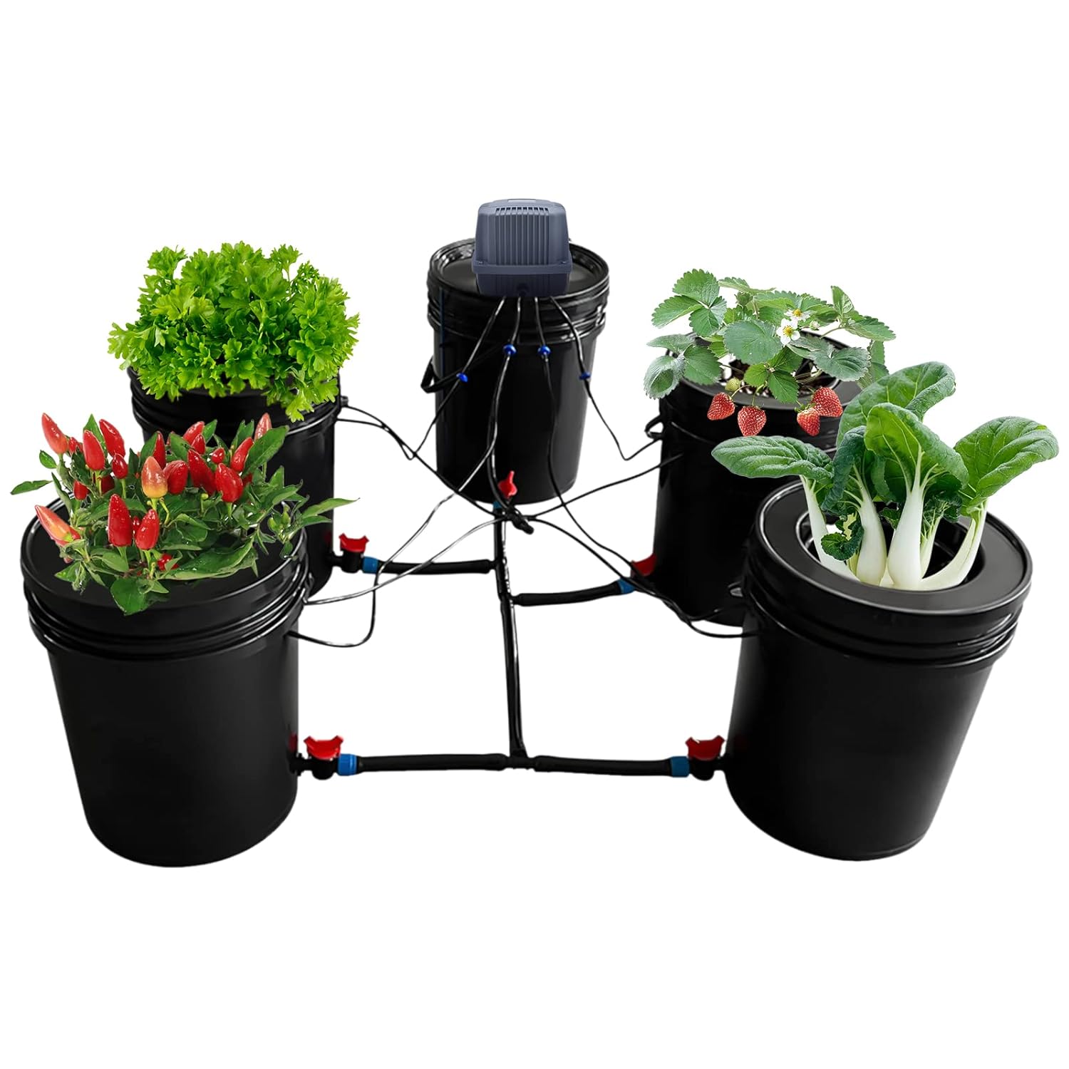 5-Gallon Deep Water Culture Hydroponics Grow System Kit with 5 Buckets, Recirculating Design