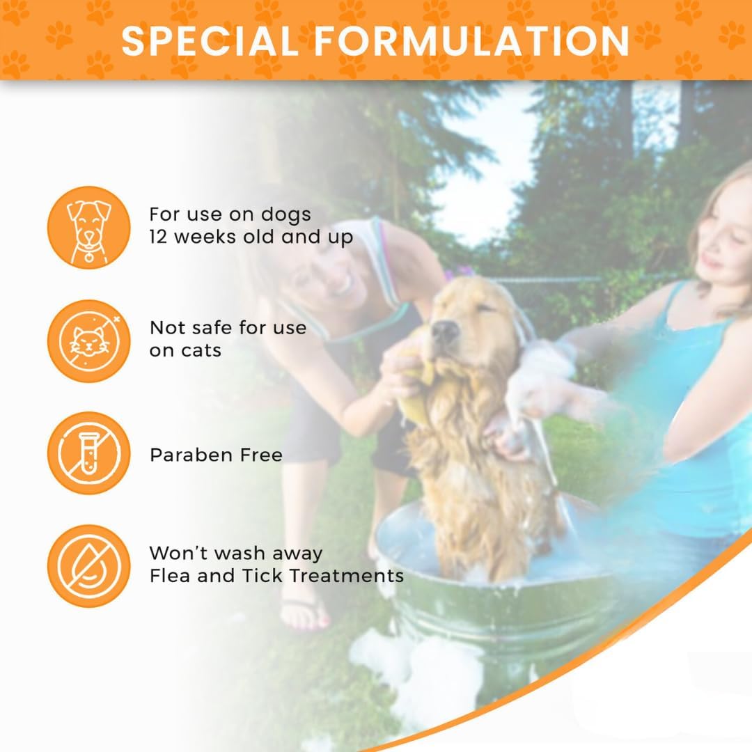 Lime Sulfur Dip and Antiparasitic & Antiseborrheic Sulfur Salicylic Acid Dog Shampoo- 1 Gallon Each - Safe Solution for Itchy Skin, Hot Spots
