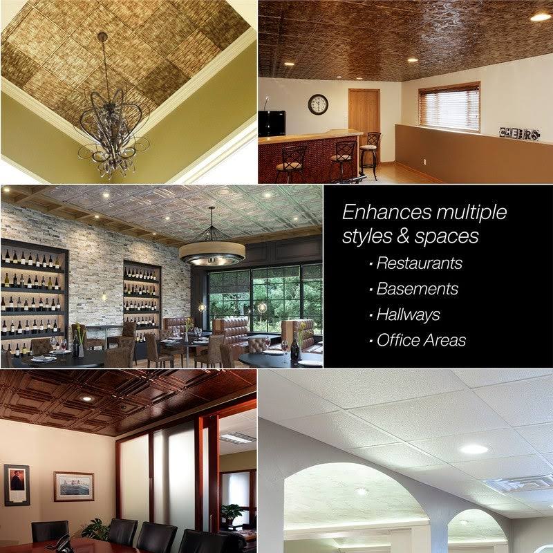 Fasade Traditional Style/Pattern 1 Decorative Vinyl 2ft x 2ft Lay in Ceiling Tile in Argent Silver (5 Pack)
