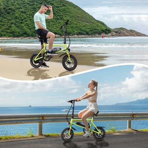Winado Electric Bike for Adults, 14" Folding Electric Bicycle 450W Motor with Dual Disc Brakes, Max Range 25Miles(Pedal-Assist) & Speed 15.5MPH