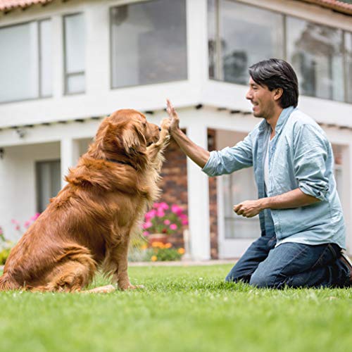 BestPet 8 x 4 x 6 Ft Dog Kennel Outdoor Dog Pen Playpen House Heavy Duty Dog Crate Metal Galvanized Welded Pet Animal Camping Cage Fence with