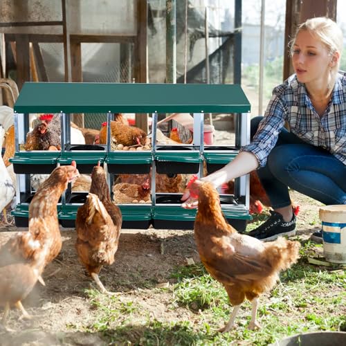 Chicken Nesting Box, 10 Hole 2 Layer Hen Nest Box with Legs, Roll Away Eggs Laying Boxes,Cleanable Pull Out Hen Roosting Boxes