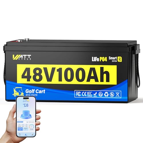 12V 314Ah Mini LiFePO4 Lithium Battery with Bluetooth 5.0, 200A BMS, 4.01kWh Energy, Upgraded Aluminum Cooling Fins & Braided Copper Wires, for RV