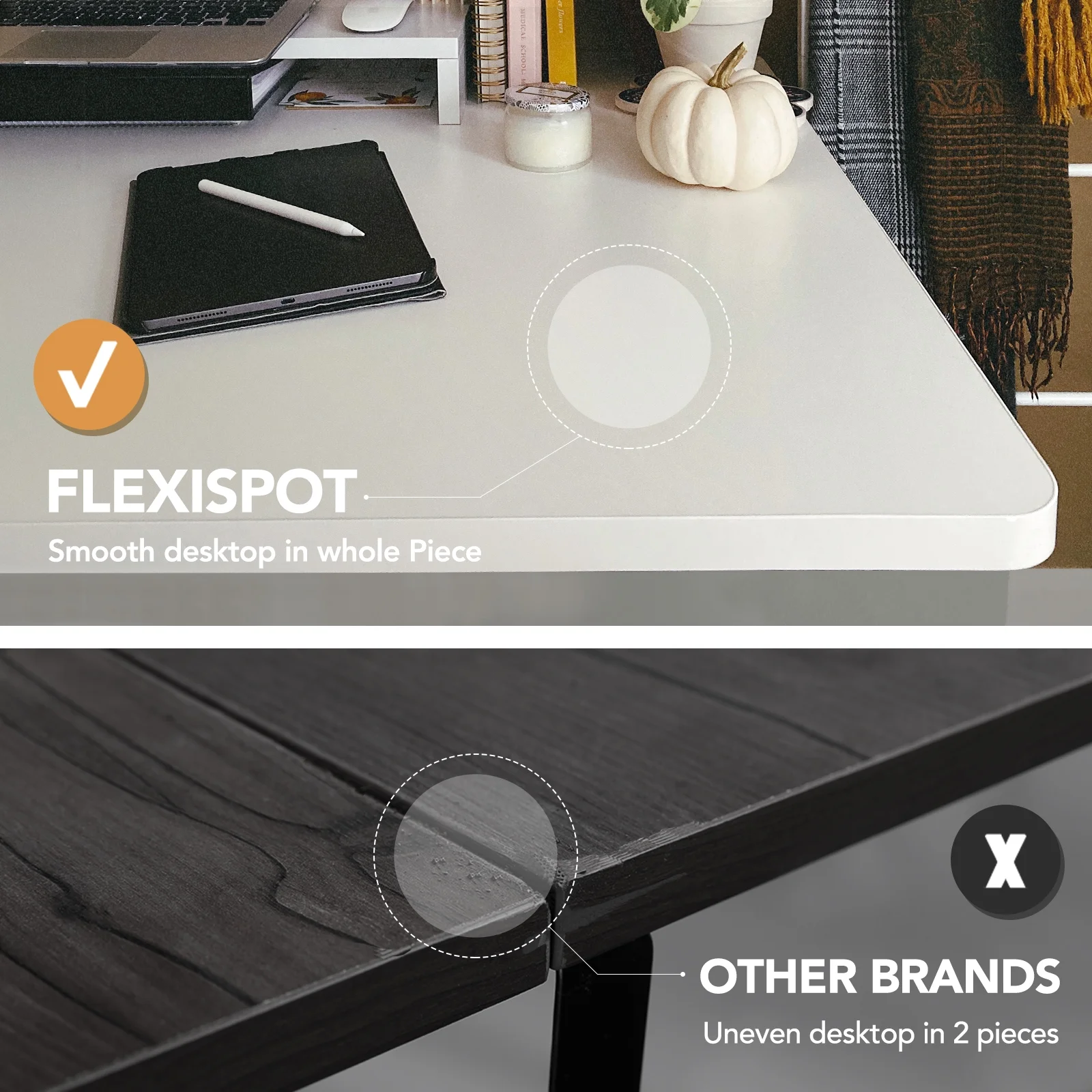 FlexiSpot 55"x28" Ergonomic Home Office Electric Height Adjustable Desk White Computer Standing Desk