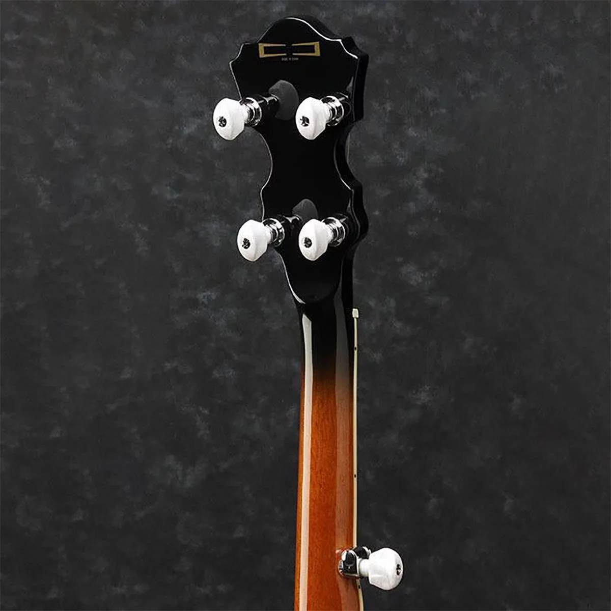 Ibanez B300 5-String Banjo - Radiant Selections