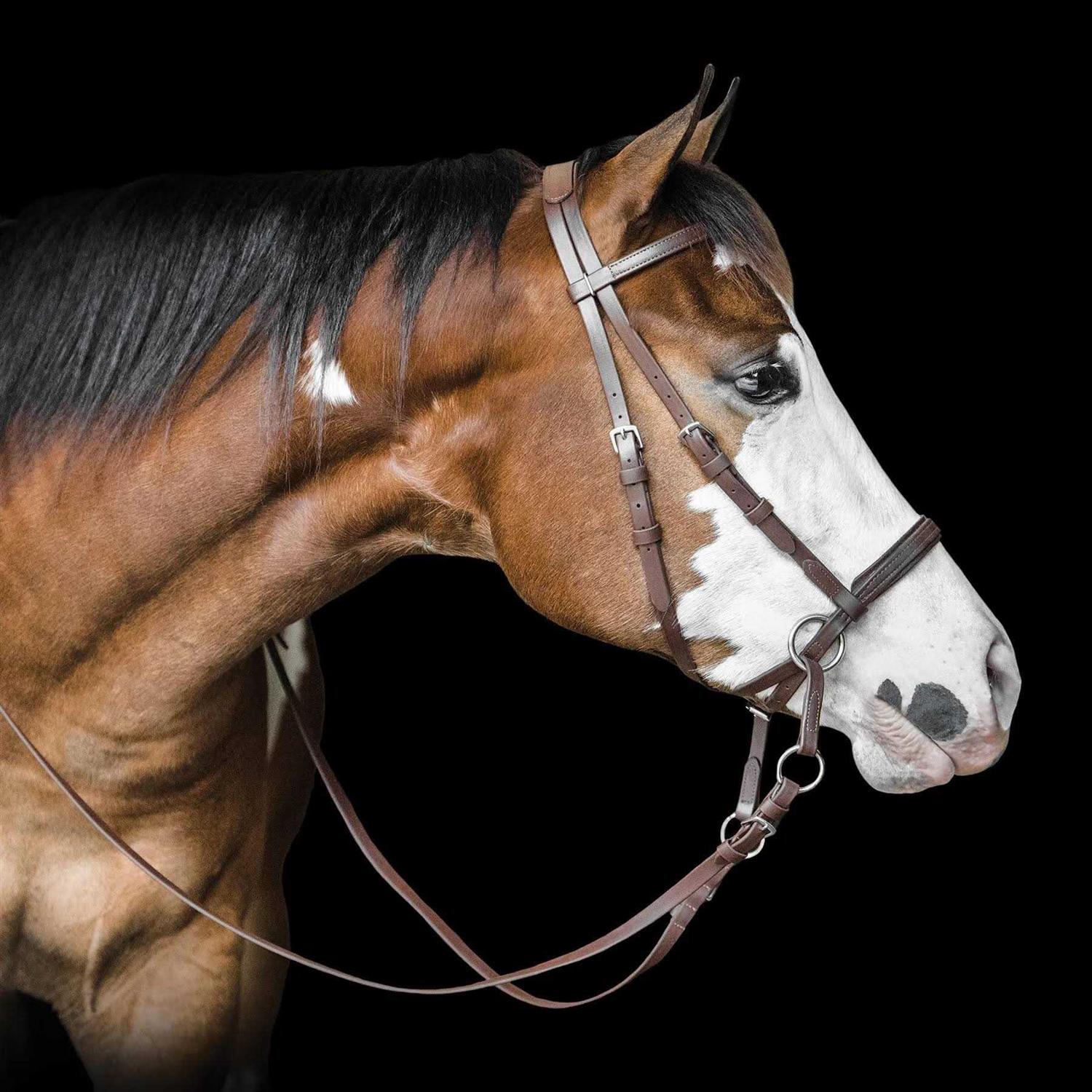 Dr. Cook Beta Bitless Bridle - Sports Supplies Online Store