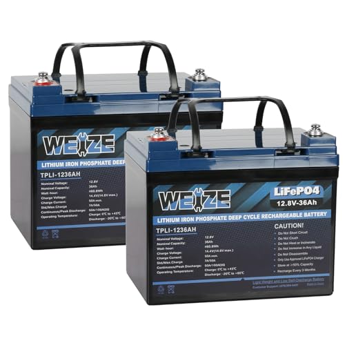 Weize 12V 100Ah TM Bluetooth LiFePO4 Lithium Battery, Built-in 120A BMS