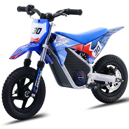 OLALA 36V Electric Dirt Bike for Kids Aged 4-8, Brushless 350W Racing Grade Electric Motorcycle, Up to 18.6MPH & 3 Speed Settings, Dual Disc Brakes
