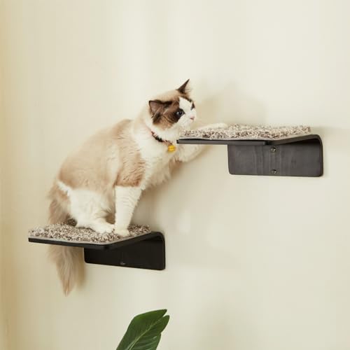 Cat Wall Shelf with Two Steps - Wave Cat Shelves and Perches for Wall - Wall Mounted Cats Furniture for Sleeping, Playing, Climbing, and Lounging