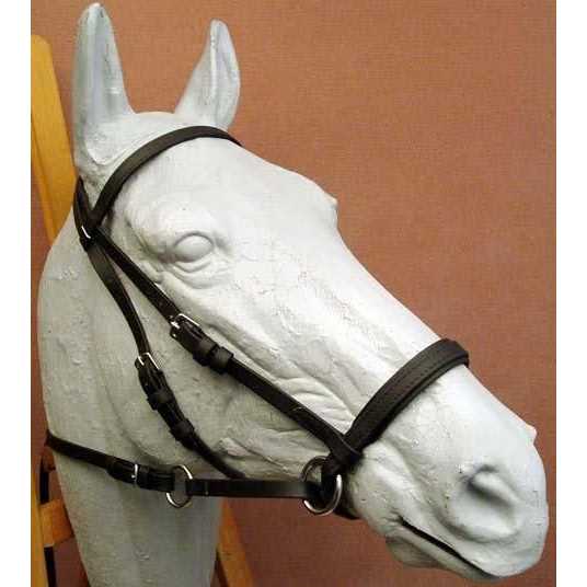 Dr. Cook Beta Bitless Bridle - Sports Supplies Online Store
