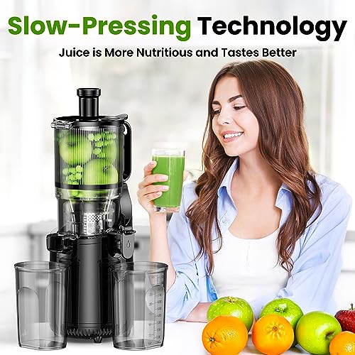Cold Press Juicer