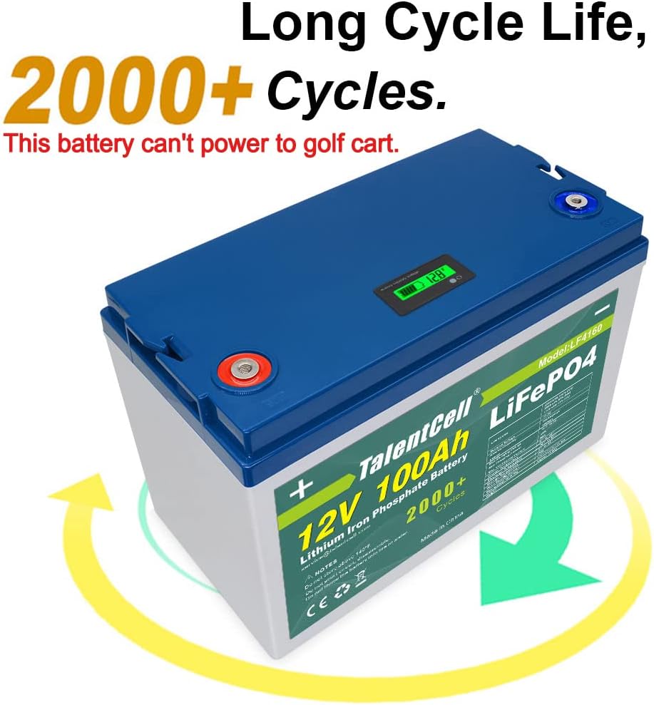 TalentCell Rechargeable 12V 100Ah Lithium Iron Phosphate (LiFePO4) Deep Cycle Battery Pack, Over 2000 Cycles