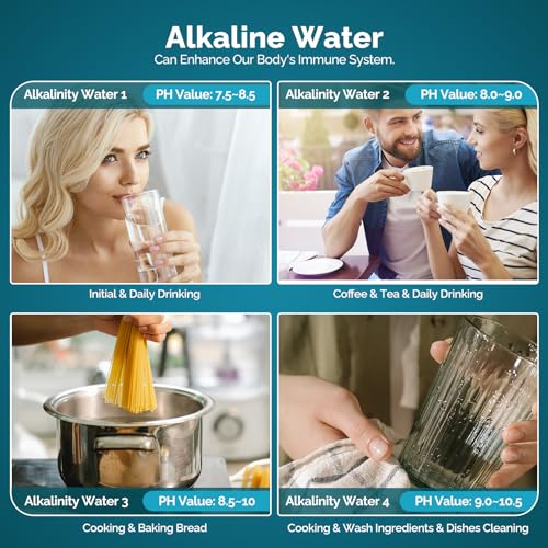 ICEPURE Water Ionizer