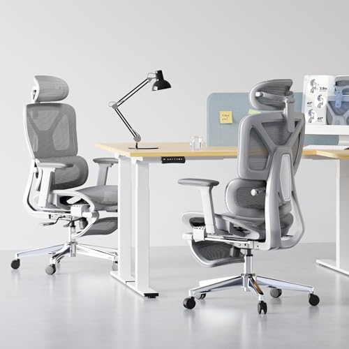 FLEXISPOT ErgoX Premium Ergonomic Office Chair with Footrest- Adjustable 3D Armrests, Dynamic Lumbar Support, Recline & Tilt Function, Mesh Seat