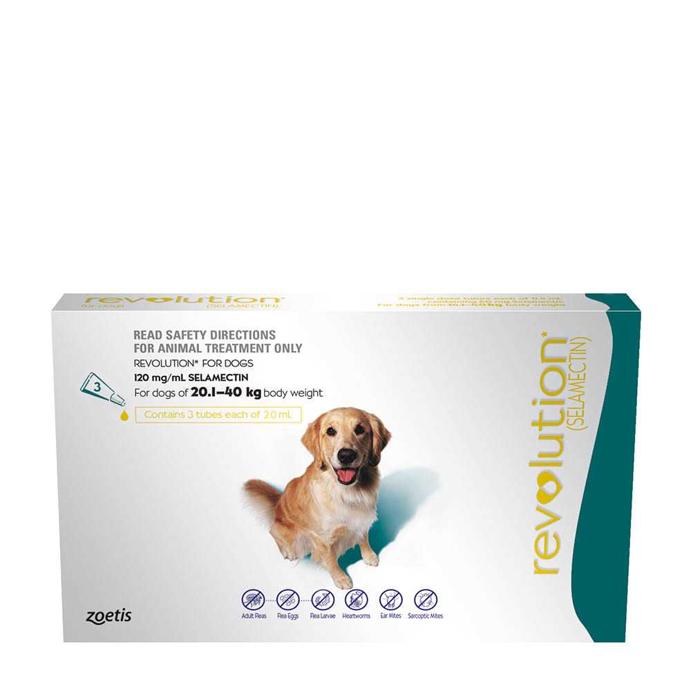 Revolution Teal 6 Pack - Pet Supplies online store