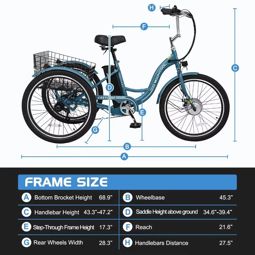 NAIZEA 24 3 Wheel Electric Bike for Senior, 350w Adults Electric Trike, Three Wheel Ebike Bicycle with Removable 36V 10Ah Lithium Battery
