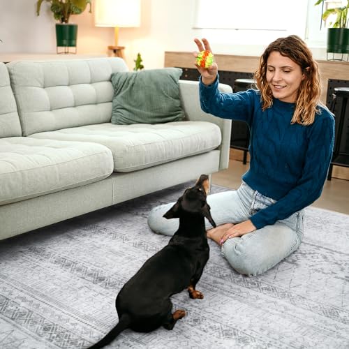 Area Rugs for Living Room