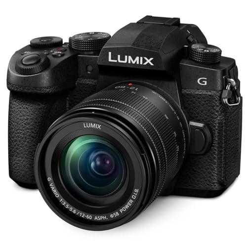 Panasonic LUMIX G95 Mirrorless Camera with LUMIX G Vario 12-60mm f/3.5-5.6 MFT Lens Bundle with 64GB Memory Card, Shoulder Bag, 58mm Filter Kit