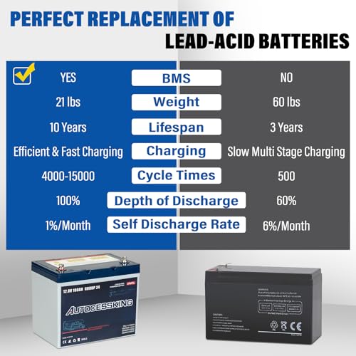 12V 100Ah BCI Group 24 LiFePO4 Battery, 100A BMS Rechargeable Mini Lithium Battery with Low-Temp Protection, Up to 15000 Cycles Perfect for RV
