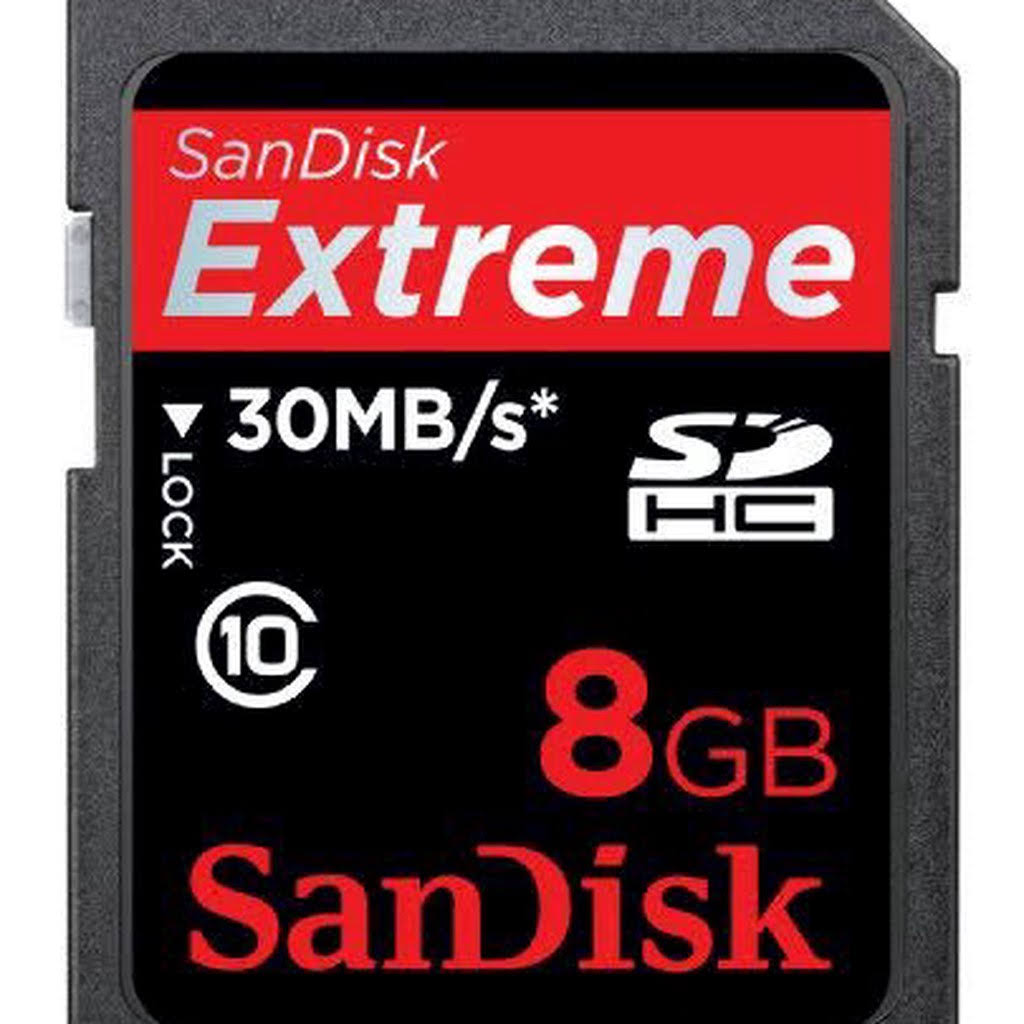 SanDisk 8GB Extreme Sdhc Class 10 High Performance Memory Card (SDSDX3-008G-X46)