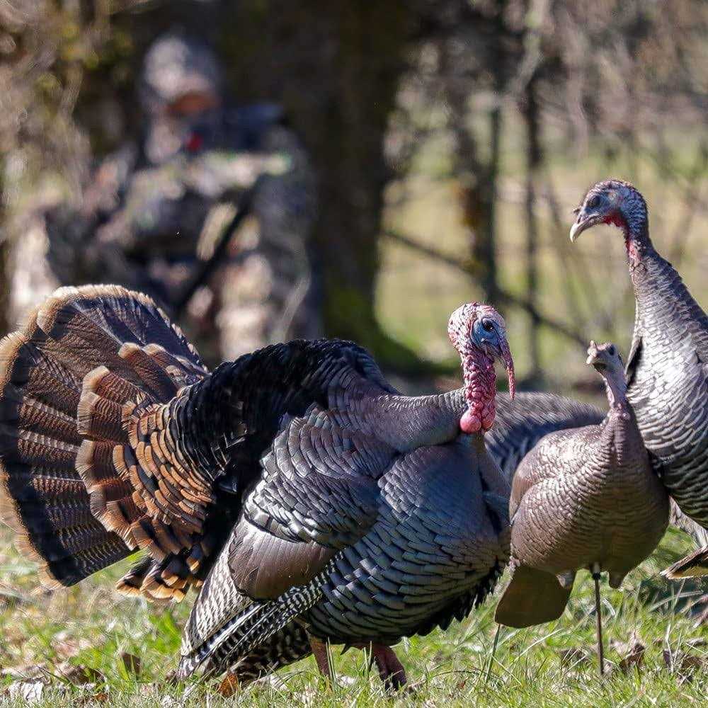 Dave Smith Decoys Upright Hen Decoy - Sports Supplies Online Store