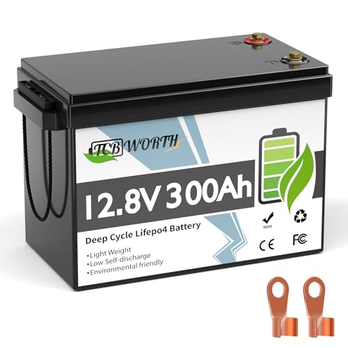 12V 100Ah LiFePO4 Battery, Rechargeabel Deep Cycle Lithium Batteries, 100A BMS with Low-Temp Protection, Perfect for RV, Solar, Boat, Marine