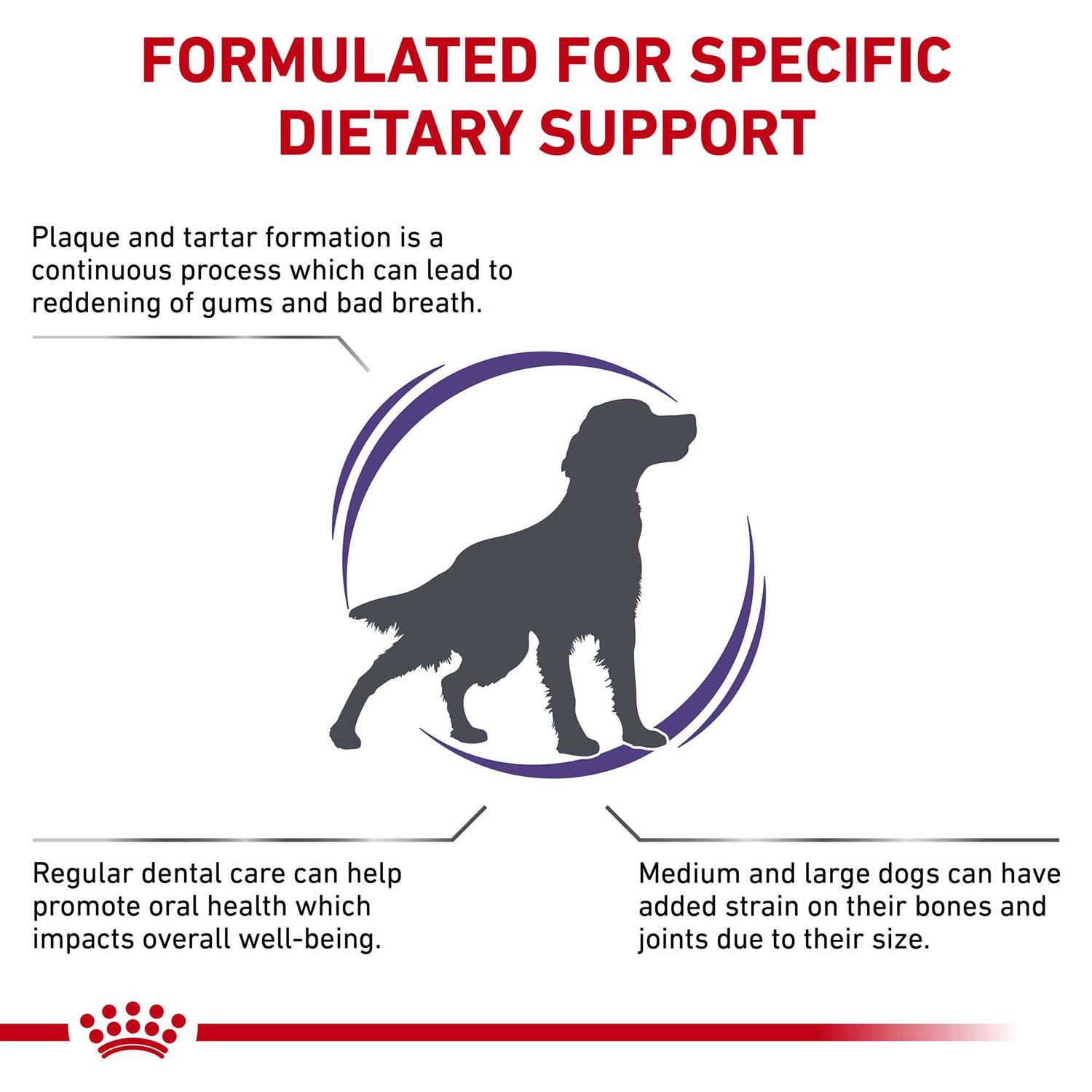 Royal Canin Veterinary Diet Canine Dental Medium &amp; Large Breed Dry Dog Food - Pet Supplies online store